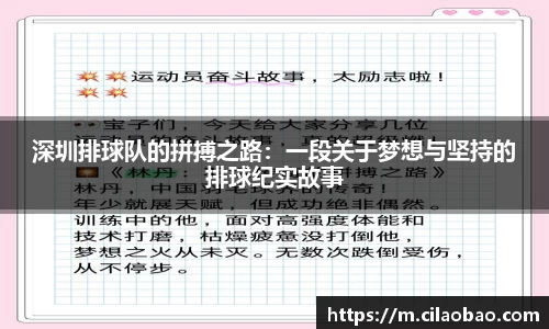 星空xk体育