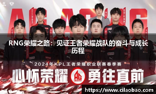 RNG荣耀之路：见证王者荣耀战队的奋斗与成长历程