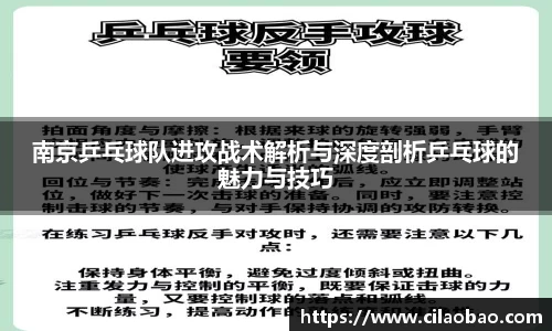 南京乒乓球队进攻战术解析与深度剖析乒乓球的魅力与技巧