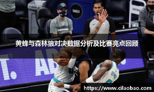 黄蜂与森林狼对决数据分析及比赛亮点回顾