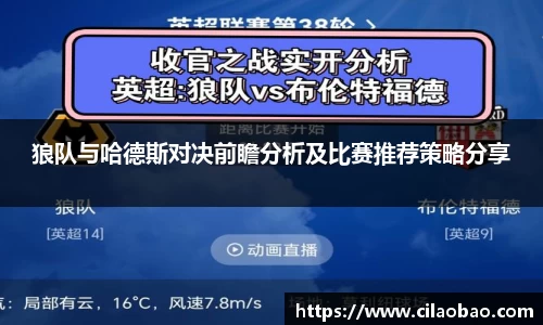 狼队与哈德斯对决前瞻分析及比赛推荐策略分享