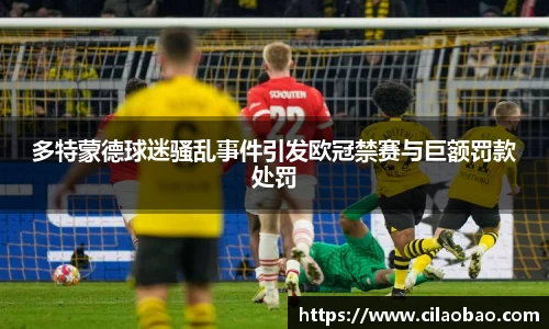 多特蒙德球迷骚乱事件引发欧冠禁赛与巨额罚款处罚