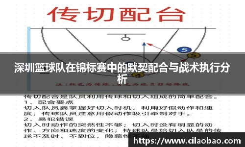 深圳篮球队在锦标赛中的默契配合与战术执行分析